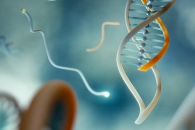 Kẹp DNA chẩn đoán đột biến di truyền gây ung thư